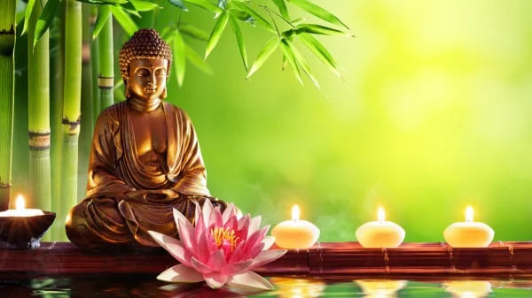 1665921507600029620.jpg p3065532a299831029-ss (1).jpg