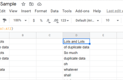 如何删除 Google 表格中的重复项