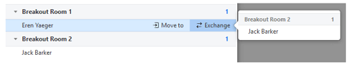 Zoom Breakout Room