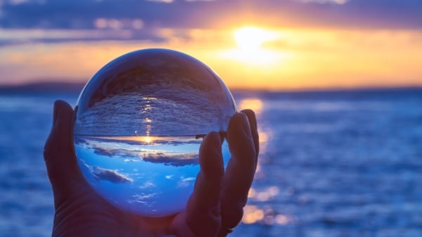 1682562073129039827.jpg p2773362a162487219-ss.jpg