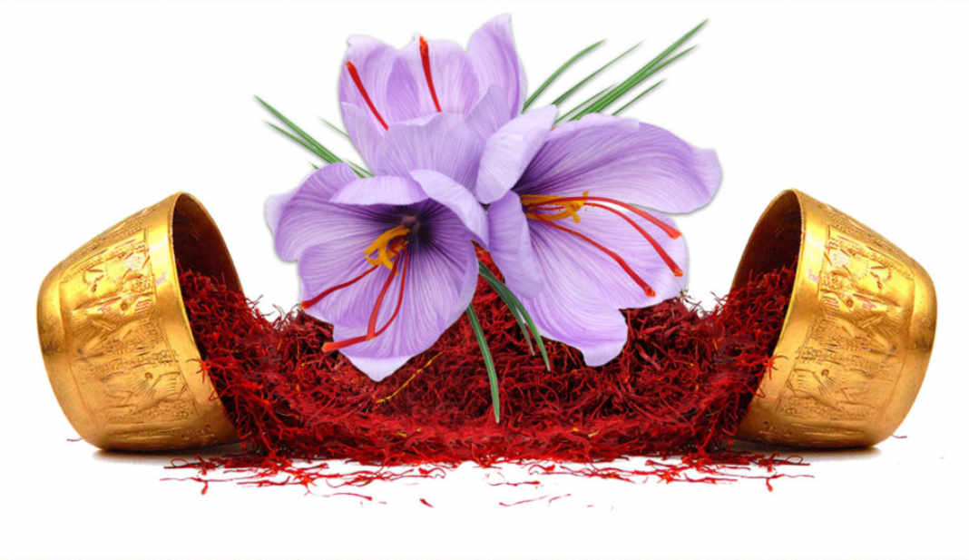 what-is-saffron-what-are-the-uses-of-saffron-how-to-use-saffron-picture-4-MjvRUv9lz.jpg