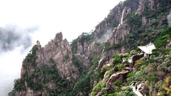 1657633203476058873.jpg p3180251a173322478-ss.jpg