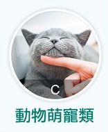 1656776502637075548.jpg 500x500-165-1656563596 (2).jpg