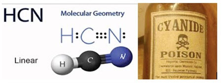 1650986871676045700.jpg what-is-cyanide-poison-how-dangerous-is-cyanide-poison-picture-1-UMKRs0LCe.jpg