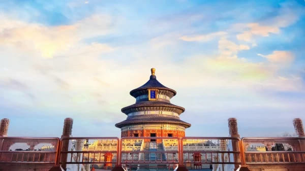 1655134561279056961.jpg p3148891a293428945-ss.jpg